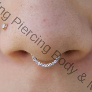 nose piercing and septum piercing at thane